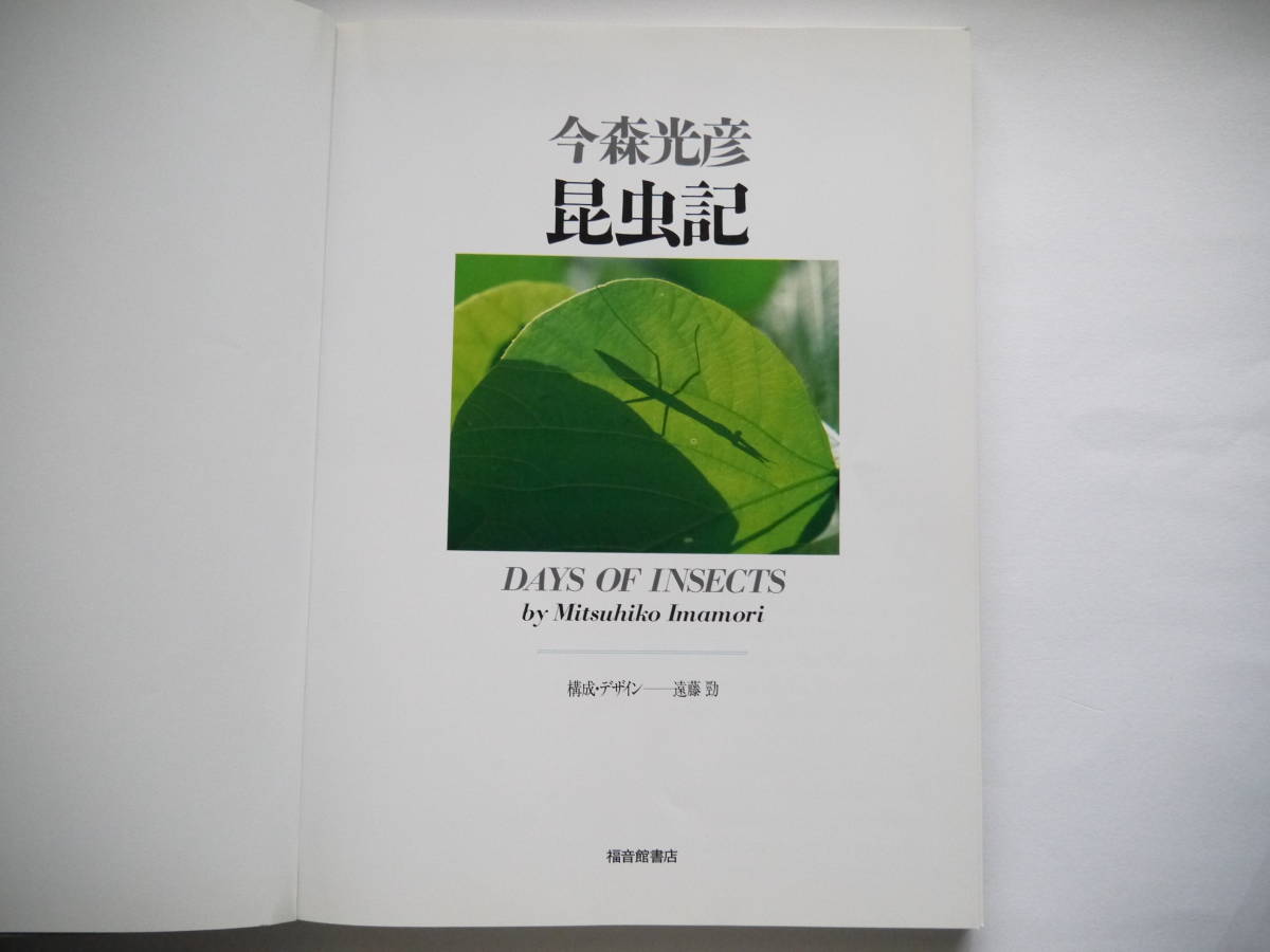  now forest light . insect chronicle DAYS OF INSECTS luck sound pavilion bookstore 