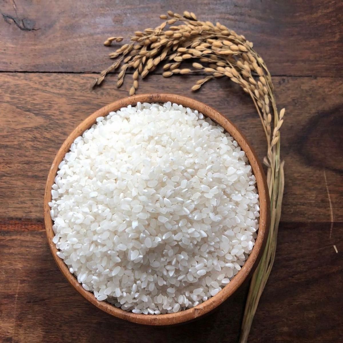 日本初Oxylal米 秋田県産 あきたこまち特別栽培米 オキシラルこまち２kg 自然由来Oxylal栽培