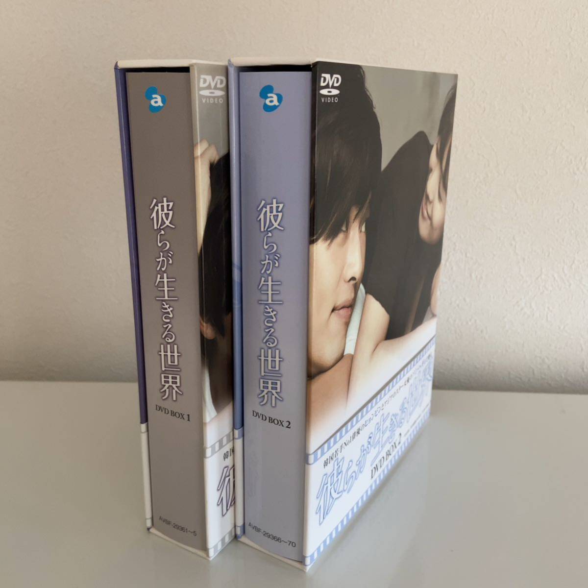 韓国ドラマ『彼らが生きる世界』DVD-BOX1&2〈各BOX5枚組〉