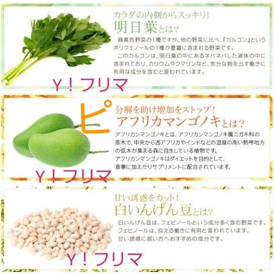 明日葉&アフリカマンゴノキエキス& 白いんげん豆エキス シードコムス サプリメント 約1ヶ月分 2個セット 賞味期限2026年2月