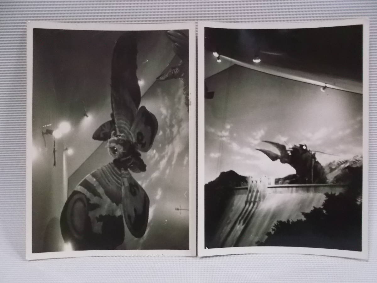 古写真　生写真　素人写真　ウルトラ怪獣　特設スタジオ　ウルトラマン　バルタン聖人　レッドキング　モスラ　蝉の幼虫　怪獣_画像3