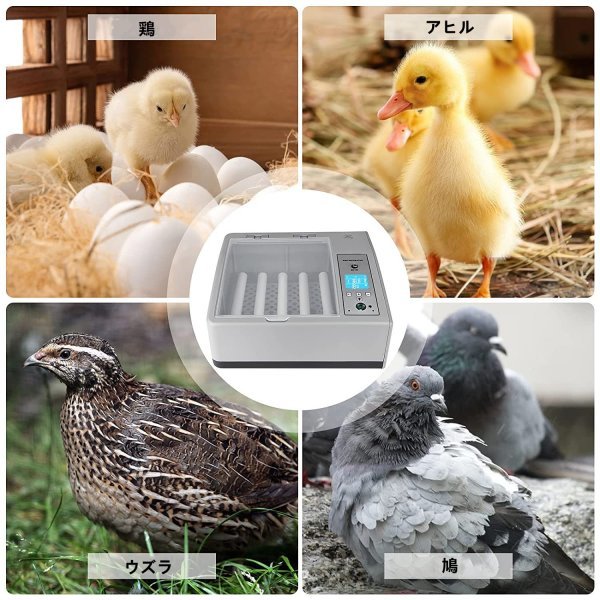 16 piece. full automation egg .. vessel small size universal digital . egg vessel chicken .. vessel .. vessel birds exclusive use .. vessel automatic rotation egg Home in kyu Beta - digital display 