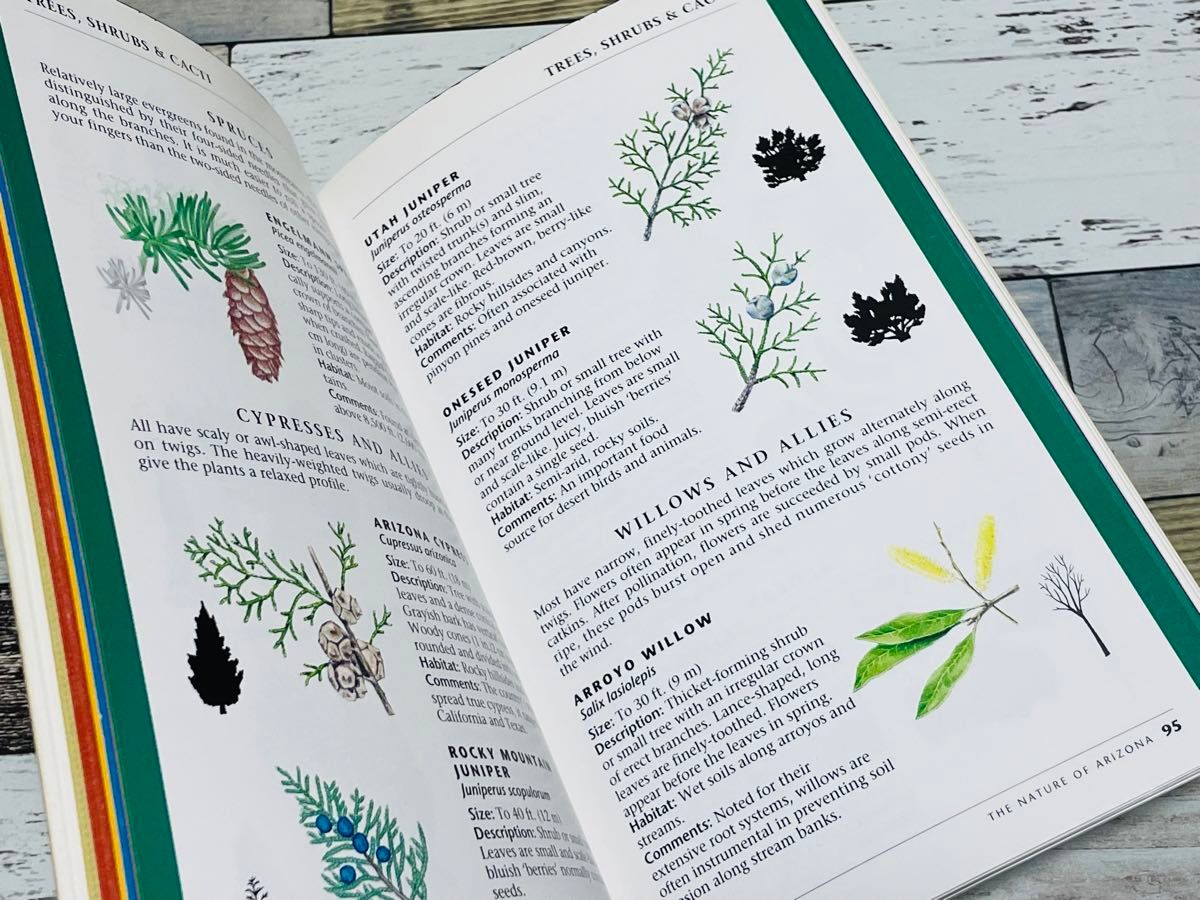 NATURE of ARIZONA 洋書 英語 図鑑 植物 動物 生き物