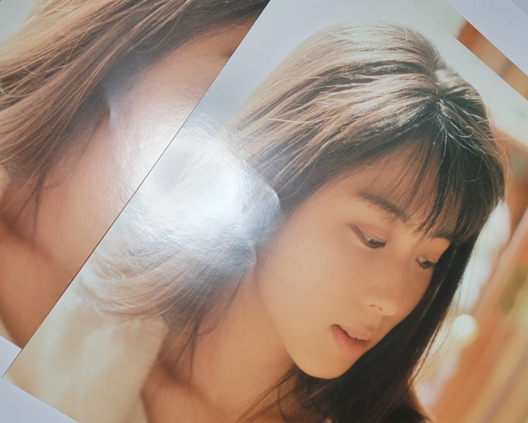 ZARD forever you 1995 ジャケスリ 坂井泉水 非売品 店頭用 PROMO ジャケットスリック ピンナップ ポスター_画像3