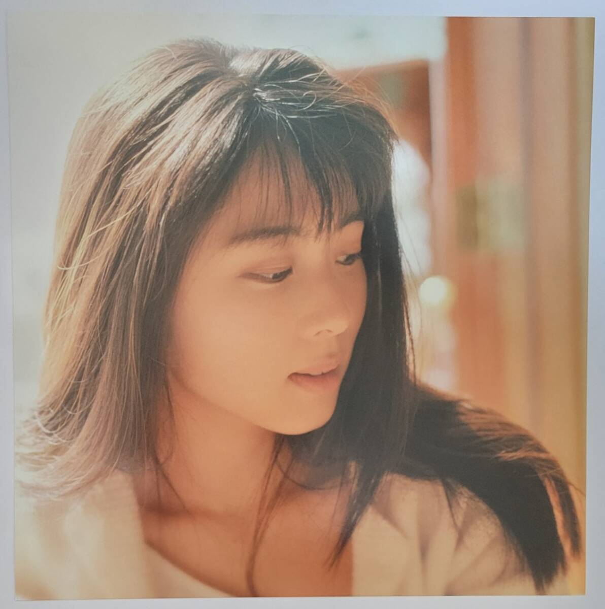 ZARD forever you 1995 ジャケスリ 坂井泉水 非売品 店頭用 PROMO ジャケットスリック ピンナップ ポスター_画像2