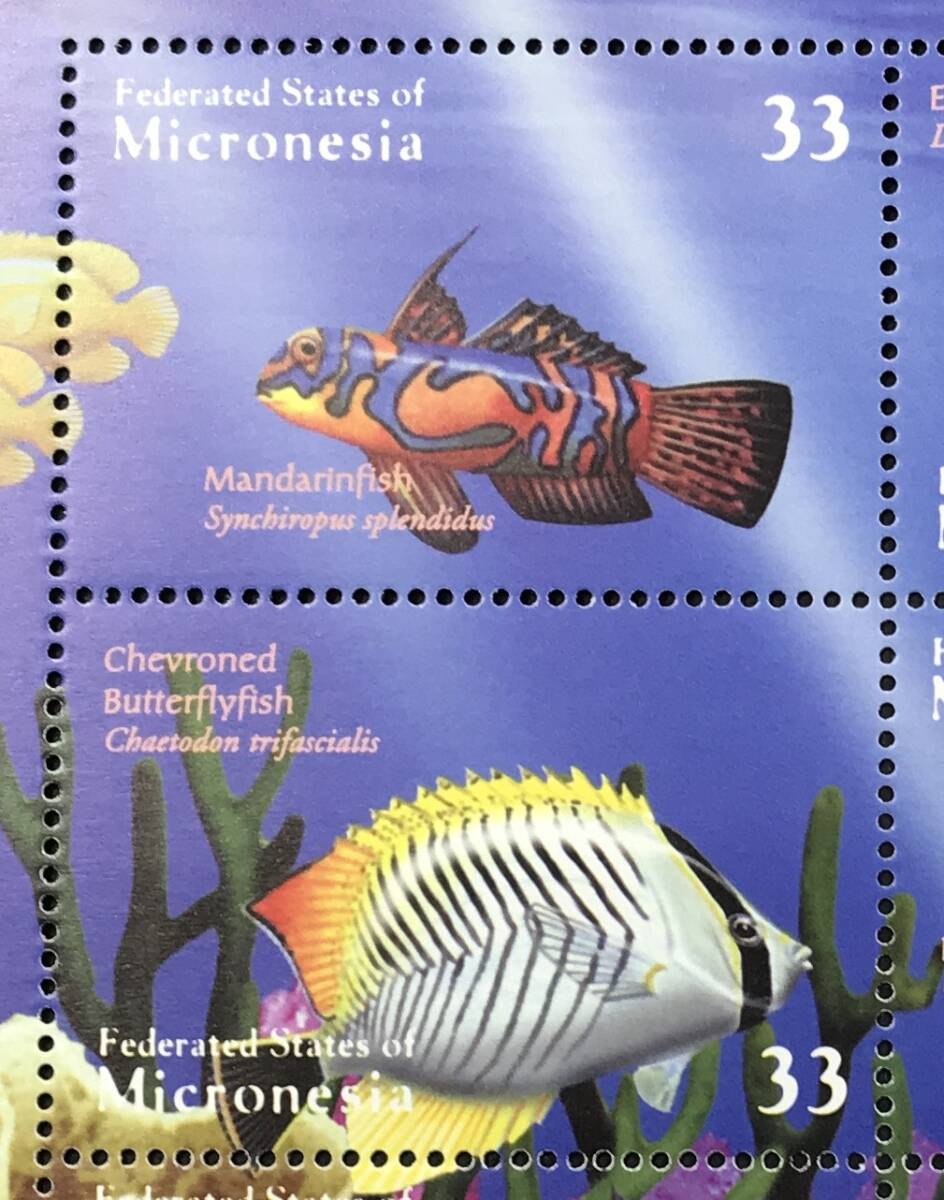  micro nesia2000 year issue fish stamp unused NH