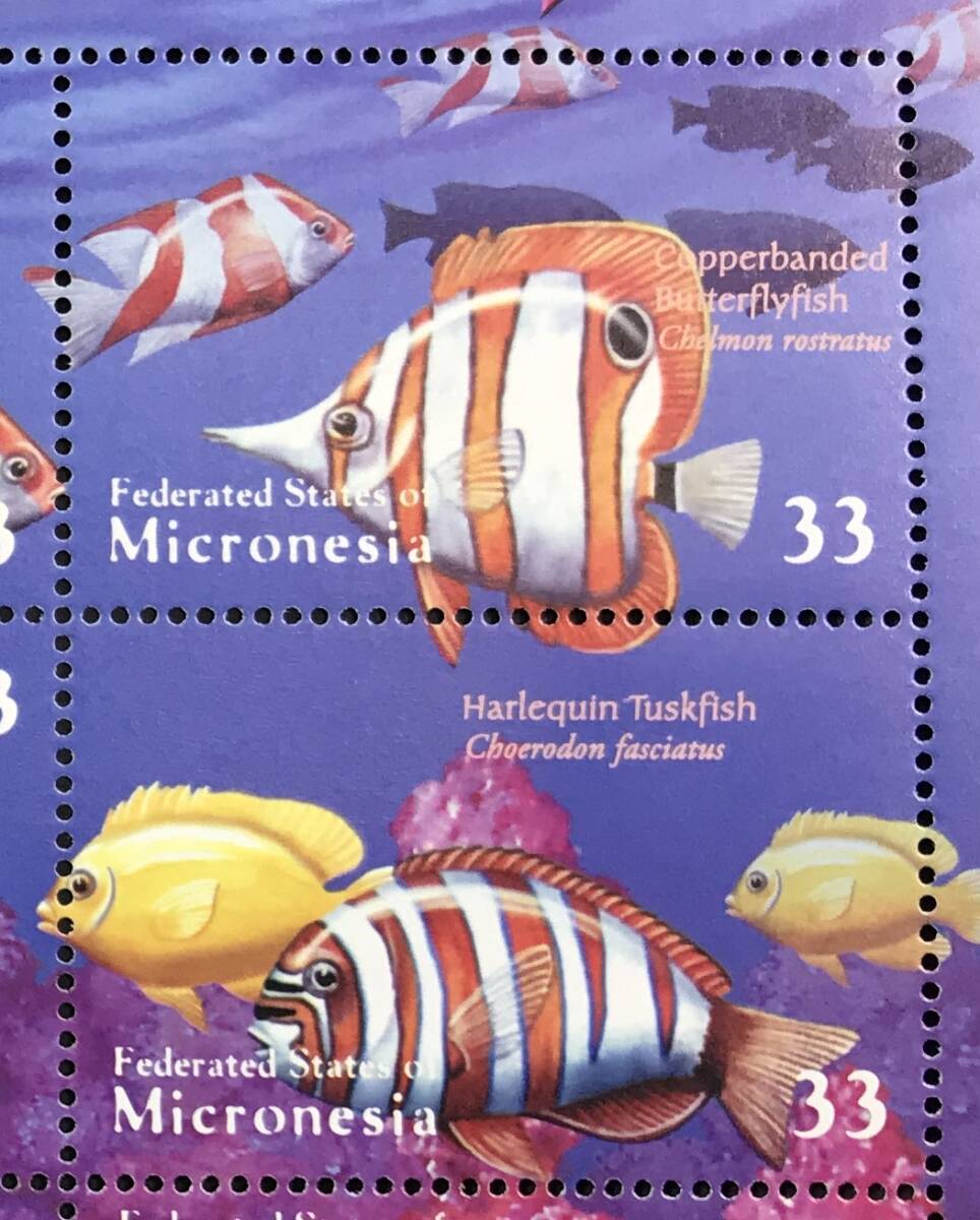  micro nesia2000 year issue fish stamp unused NH