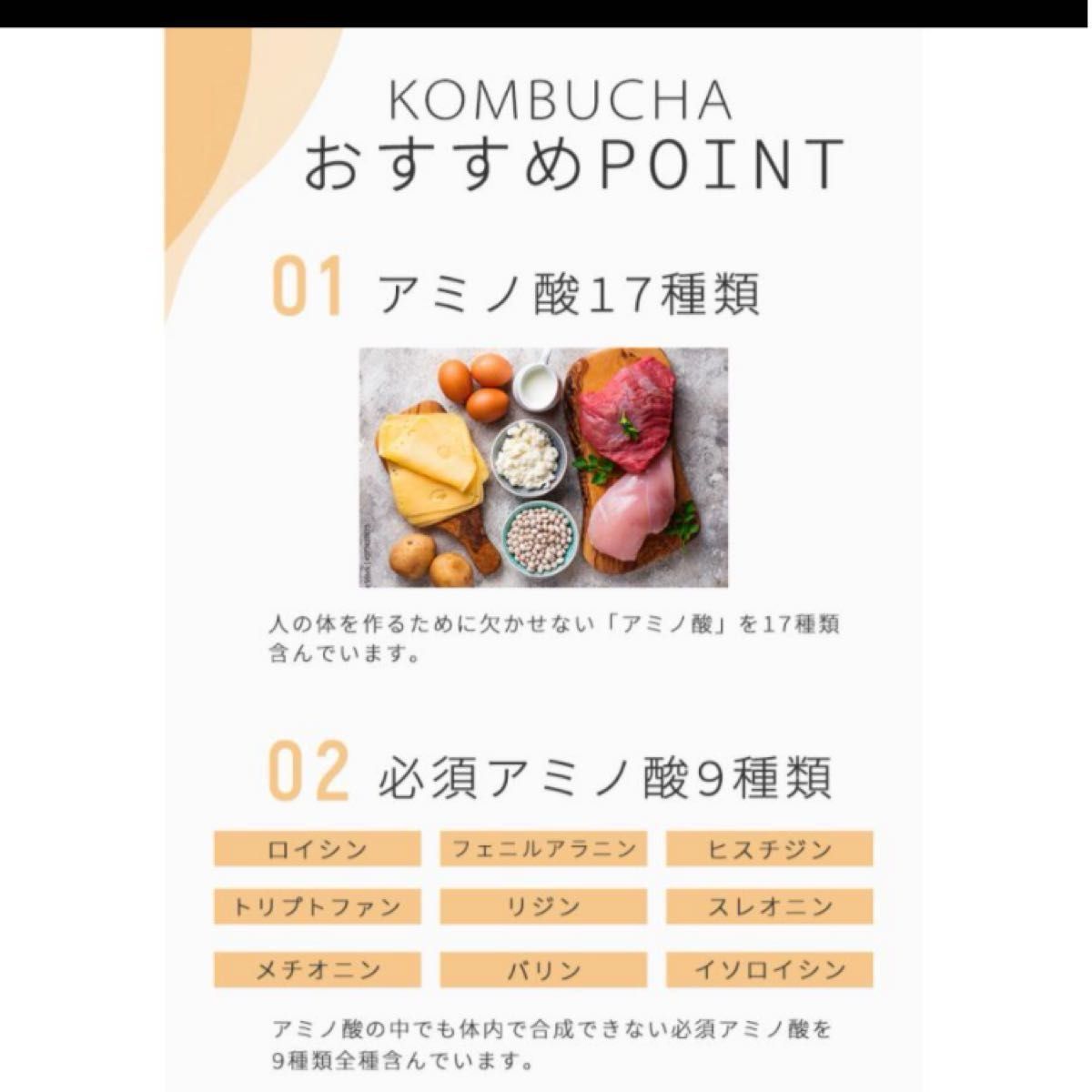 【値下げ！】コンブチャ　KOMBUCHA 城咲仁★発酵紅茶　40包入り1箱【200g】腸活　韓国　ダイエット　