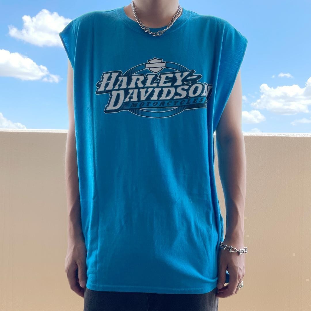 ハーレーダビッドソン ノースリーブ プリントTシャツ 2XL ブルー 水色 黒_画像2