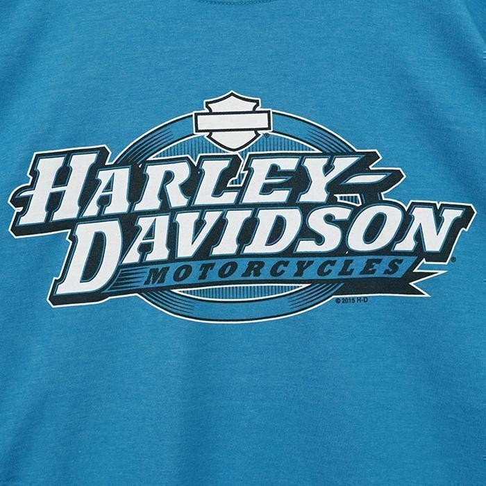 ハーレーダビッドソン ノースリーブ プリントTシャツ 2XL ブルー 水色 黒_画像6