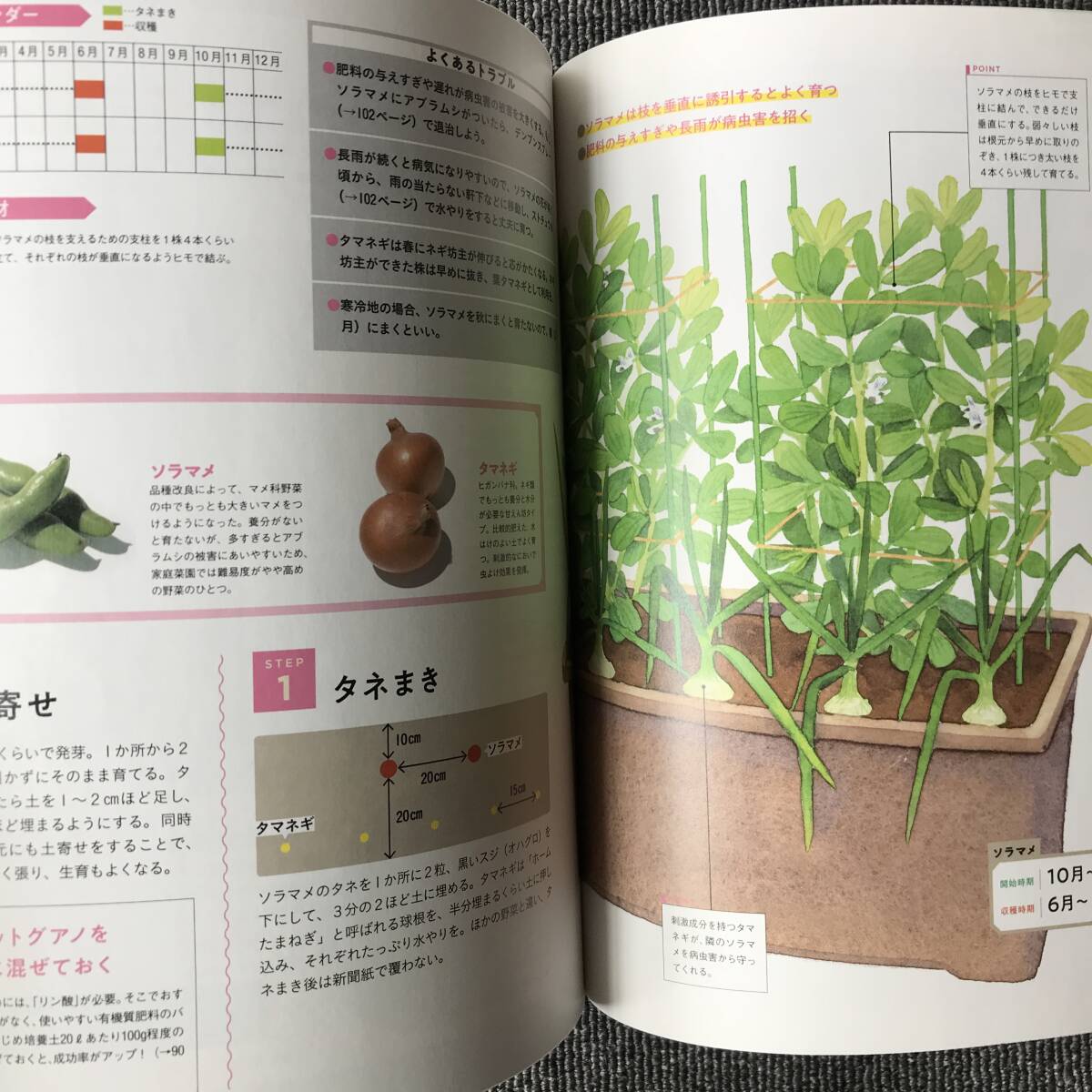 914 プランターで寄せ植え野菜 竹内孝功の画像4