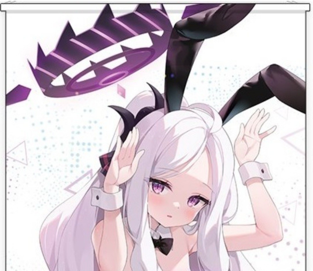 冬コミ限定 タペストリー Yahoo!オークション - 俺の嫁 あやみ ねこどーなつ 空崎ヒナ B2