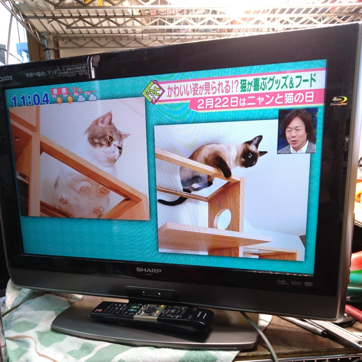 全国送料無料 SHARP/シャープ AQUOS 液晶カラーテレビ LC-26DV7 全国送料無料 SHARP/シャープ AQUOS 液晶カラーテレビ LC-26DV7