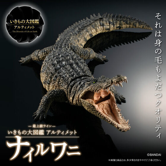 輸送箱未開封 いきもの大図鑑アルティメット ナイルワニ プレミアム バンダイ The Diversity of Life on Earth ultimate Nile Crocodile
