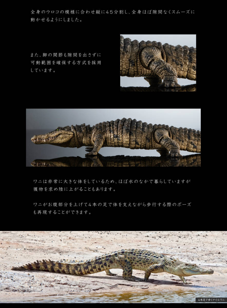 輸送箱未開封 いきもの大図鑑アルティメット ナイルワニ プレミアム バンダイ The Diversity of Life on Earth ultimate Nile Crocodileの画像9