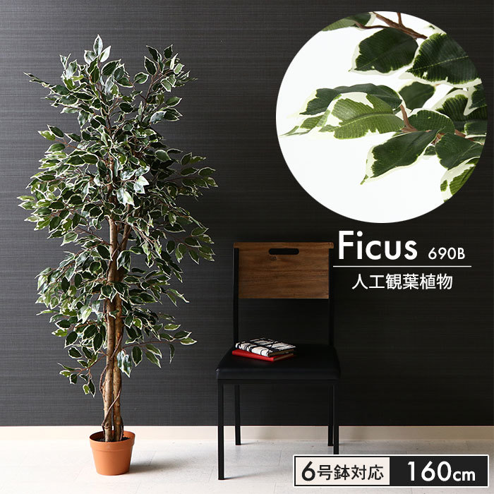 フェイクグリーン 観葉植物 人工 フィカス 高さ 160cm 6号鉢対応 造花 インテリア 目隠し M5-MGKFGB90092