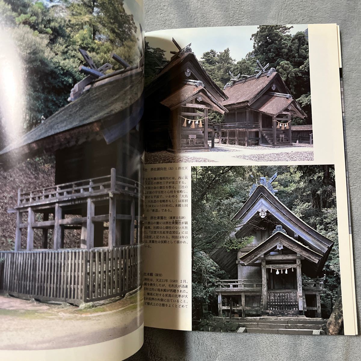 日本の美術 No.476 出雲大社 至文堂 神社 金輪造営図_画像7