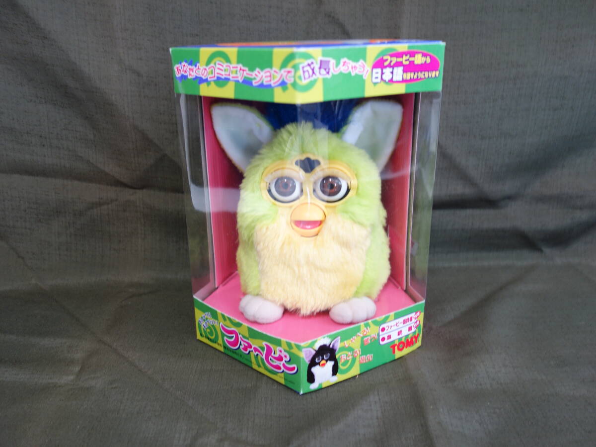 [ new old goods ]Mv unopened Tommy Furby kiwi fruit kiwi stockholder . hospitality (37522)