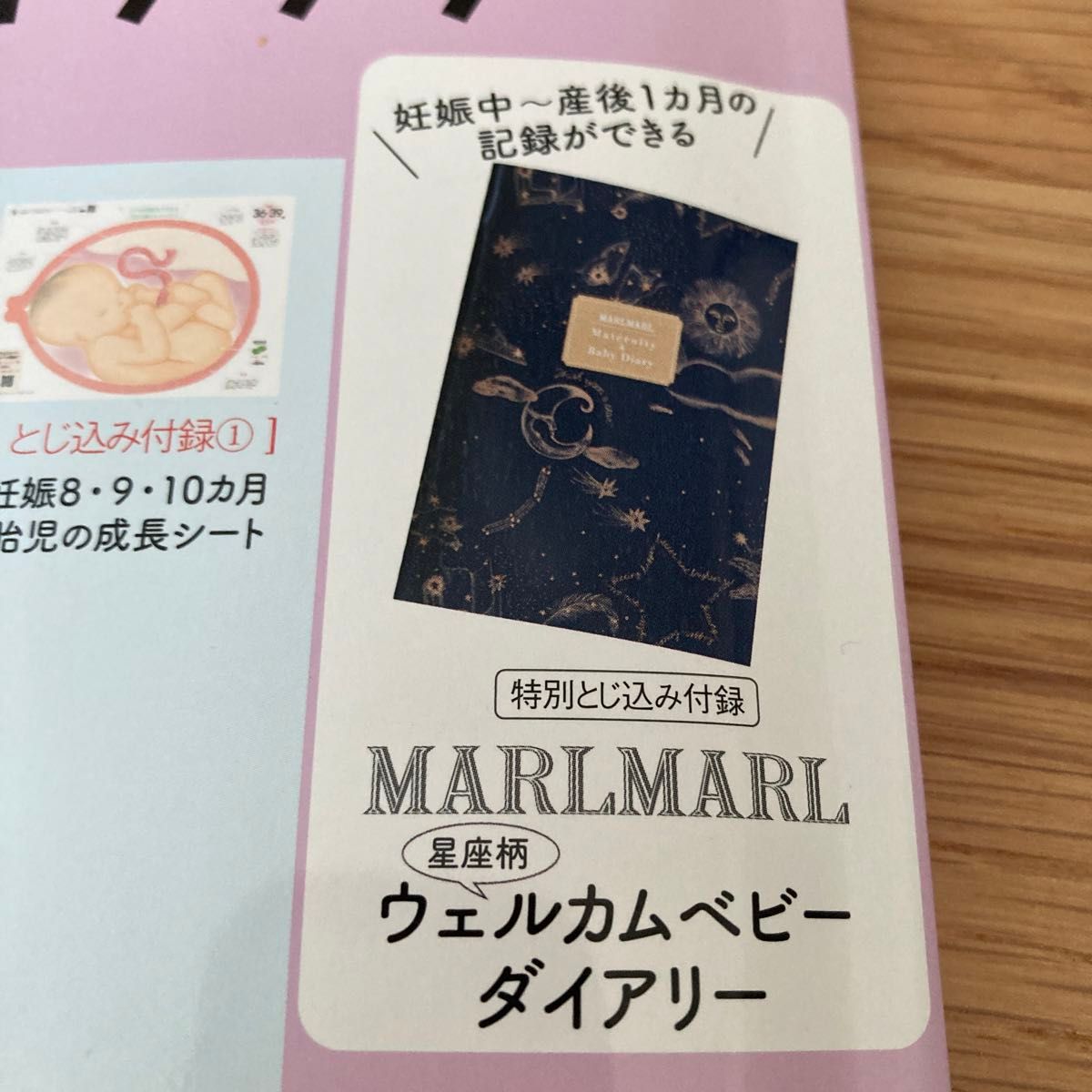 マールマール　MARLMARL ウェルカムベビーダイアリー　たまごクラブ　たまひよ　付録