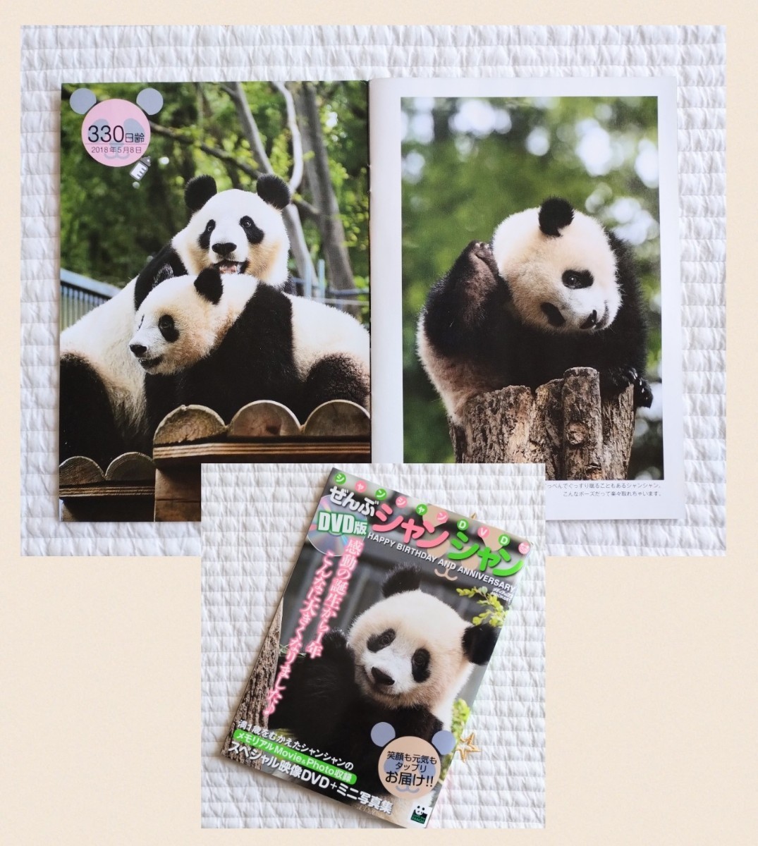 満1歳 シャンシャンミニ写真集+sp映像DVD 上野動物園　パンダ 香香_画像1