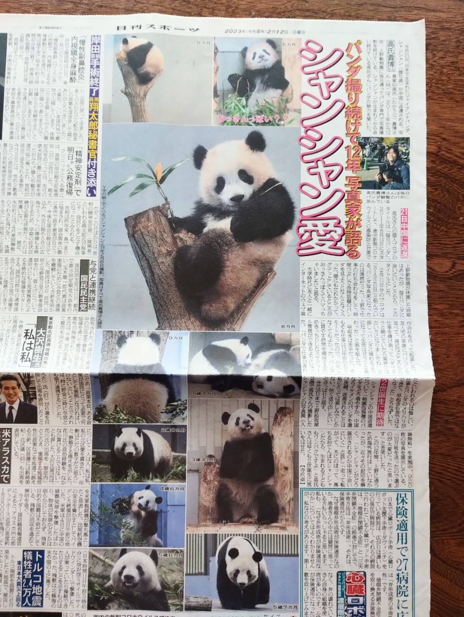 ③ シャンシャン 日刊スポーツ 2023.2012　上野動物園 パンダ 香香_画像1