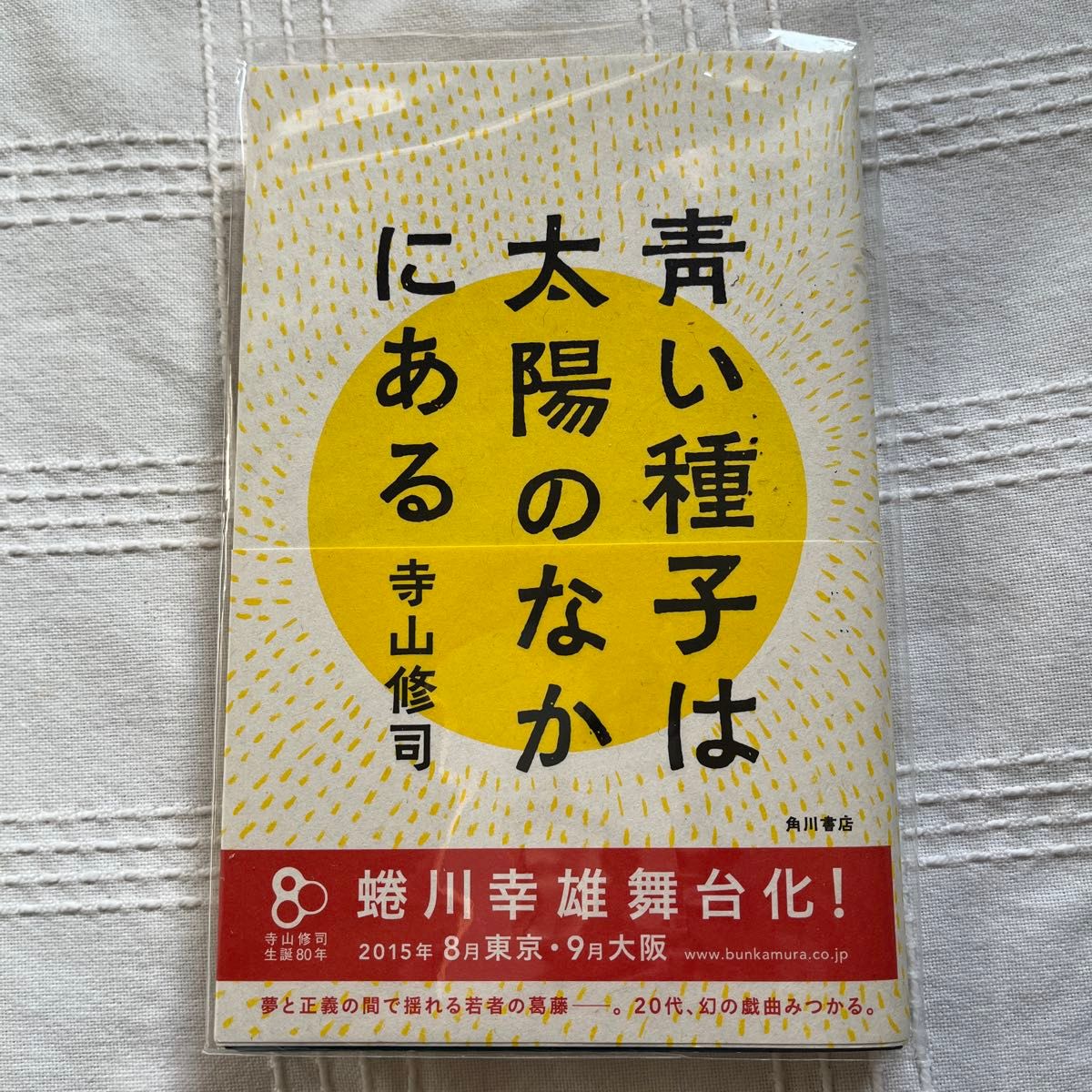 【亀梨和也】青い種子は太陽のなかにある 寺山修司／著①