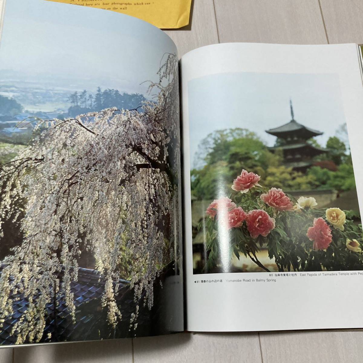 I 1978年発行 「奈良の四季」 入江泰吉 定価18000円_画像4