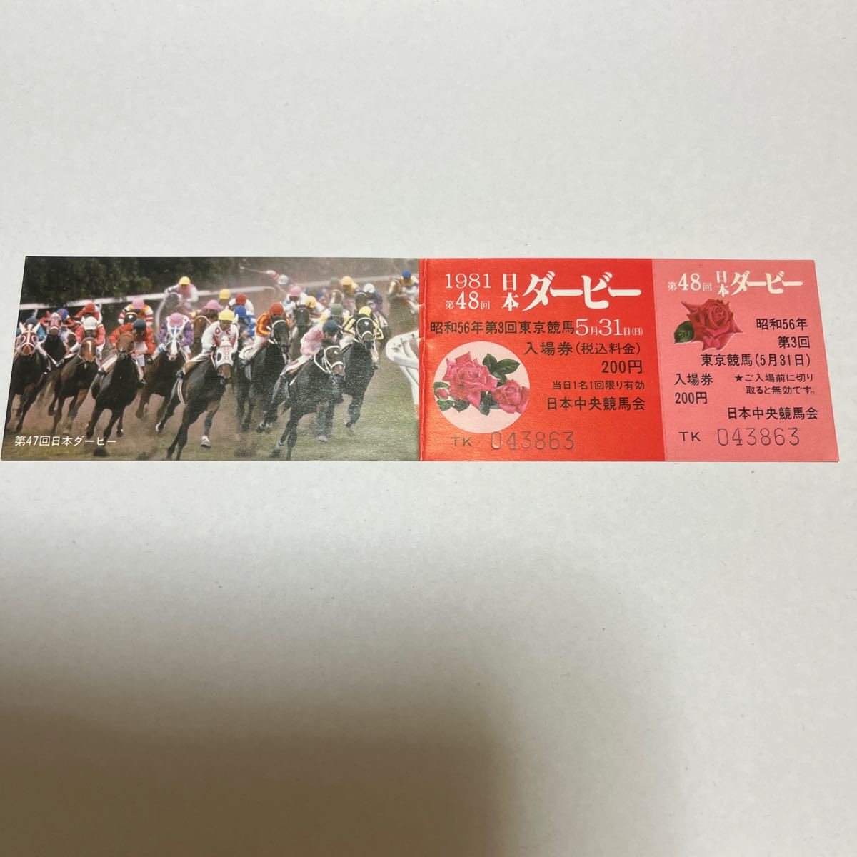 1981年第48回日本ダービー競馬場入場券　コレクション未使用品　昭和レトロ　競馬関連グッズ_画像1