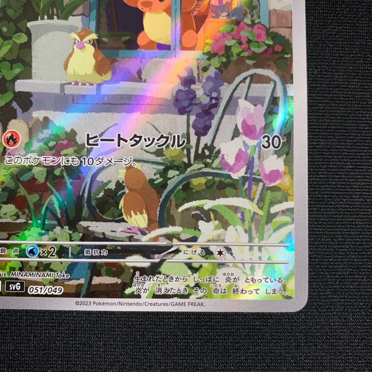PSA10 5枚セット スペシャルデッキセット ヒトカゲar ヒトカゲ AR フルイラスト スペシャルデッキセットex ポケカ
