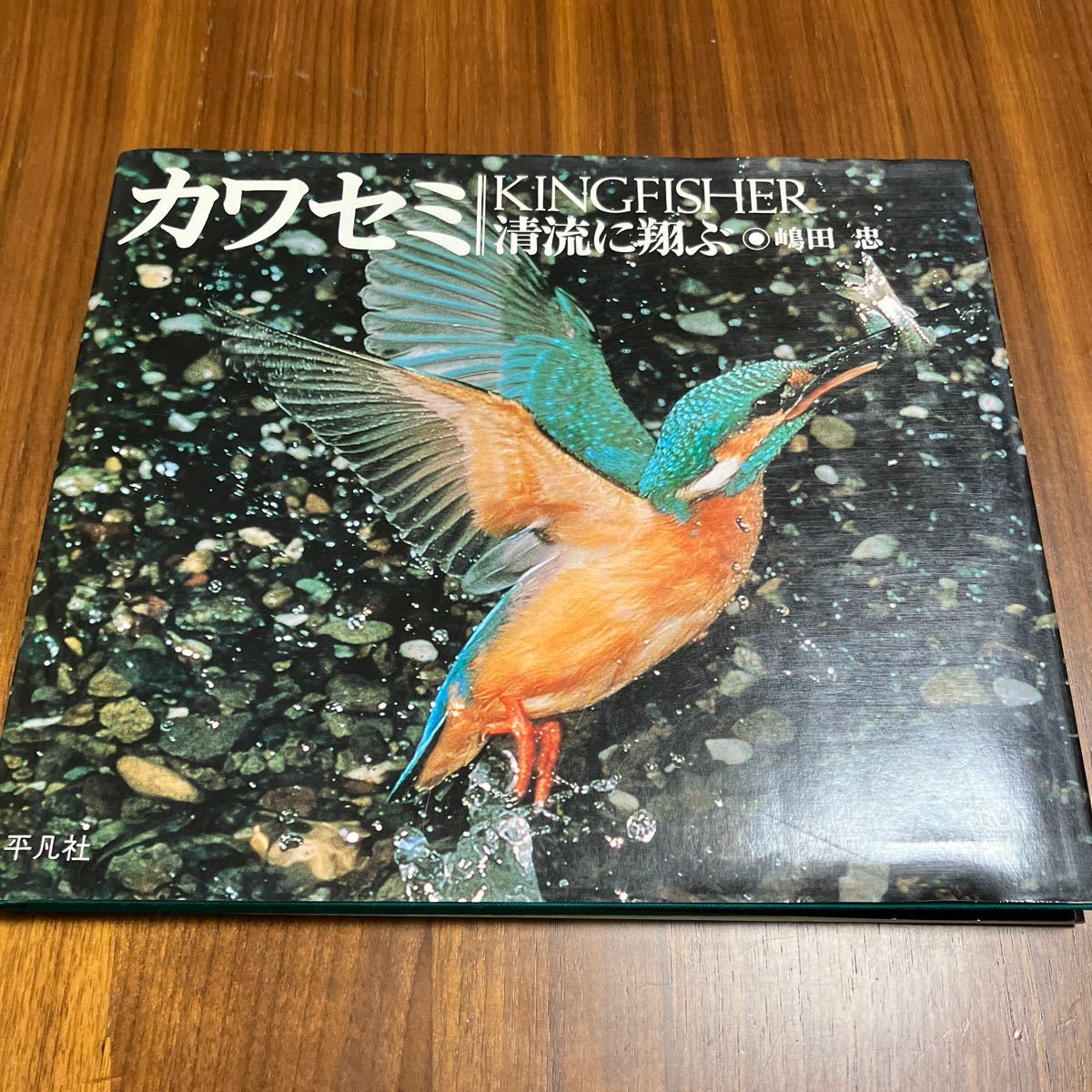 カワセミ KINGFISHER 清流に翔ぶ 島田忠の画像1