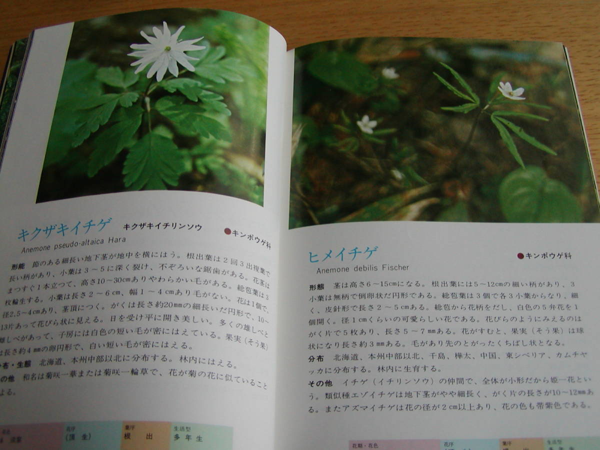 北海道の森林植物図鑑　樹木編・草本編　北海道林務部監修　_画像4