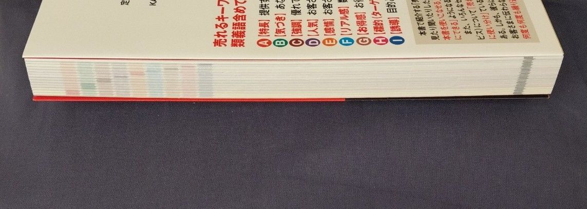 バカ売れキーワード１０００　キャッチコピーが面白いほど書ける （カラー改訂版） 堀田博和／著