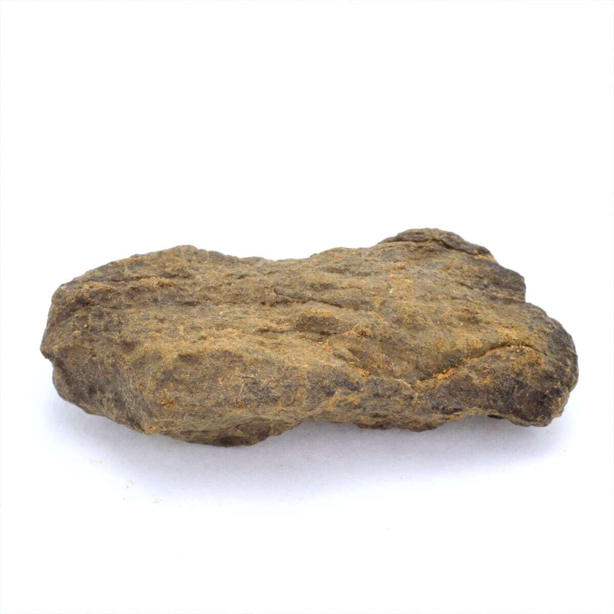 NWAxxx 10.4g 原石 標本 隕石 普通コンドライト H L LL No.1の画像1