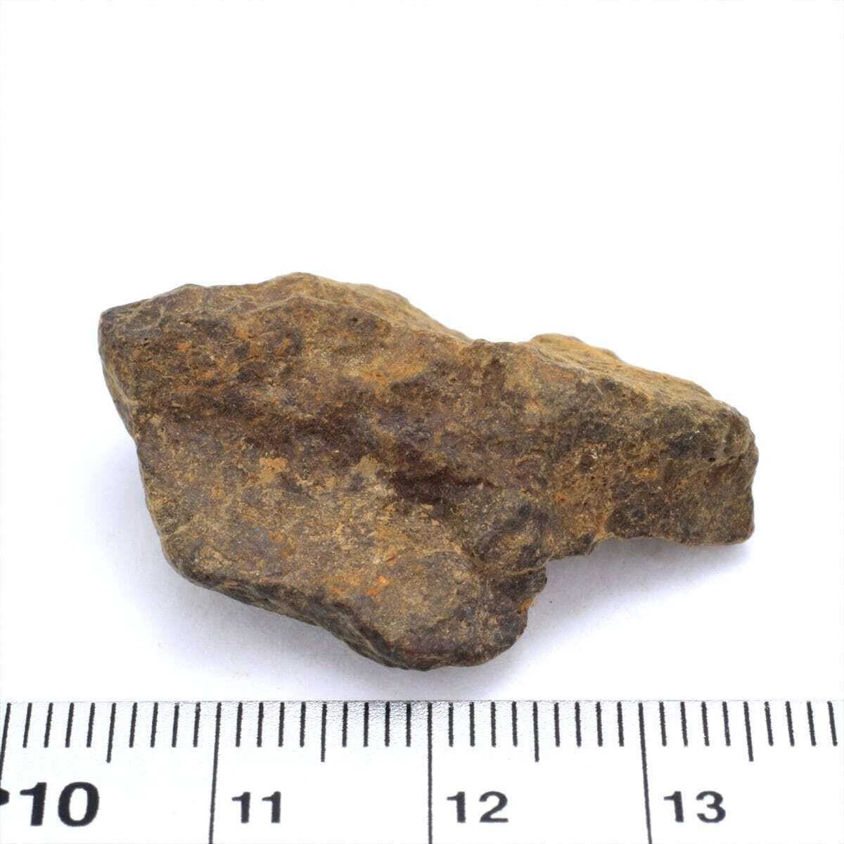 NWAxxx 12.8g 原石 標本 石質 隕石 普通コンドライト No.9