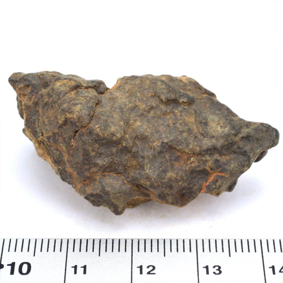 NWAxxx 25.4g 原石 標本 石質 隕石 普通コンドライト No.23