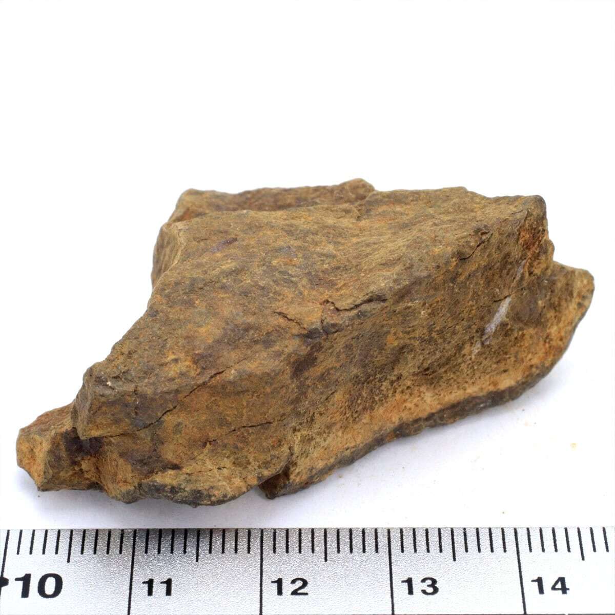 NWAxxx 40.7g 原石 標本 石質 隕石 普通コンドライト No.28