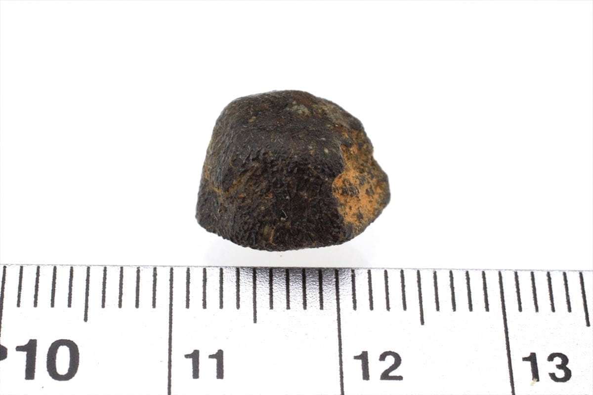 キャメルドンガ 1.6g 原石 標本 隕石 エイコンドライト ユークライト CamelDonga No.2_画像4