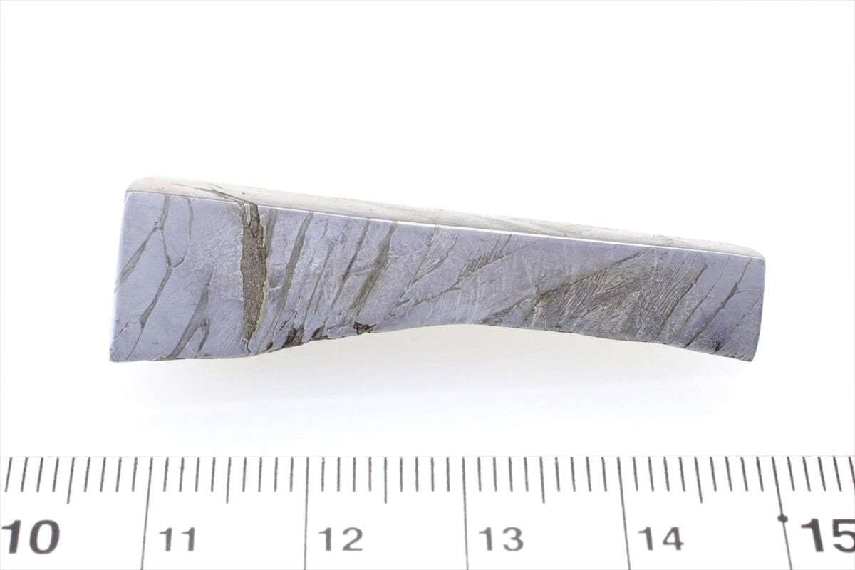 seim tea n19g slice cut specimen stone iron meteorite pala site Seymchan No.32