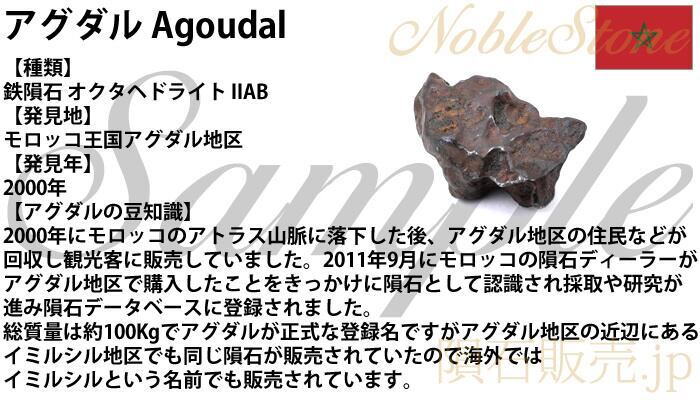 アグダル 9.6g 原石 標本 隕石 鉄隕石 オクタヘドライト Agoudal No.1_画像5