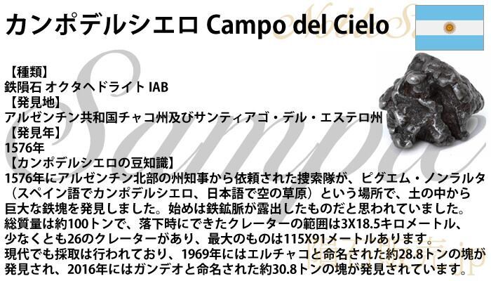 カンポデルシエロ 25.1g 原石 標本 隕石 鉄隕石 オクタへドライト CampodelCielo No.26の画像5