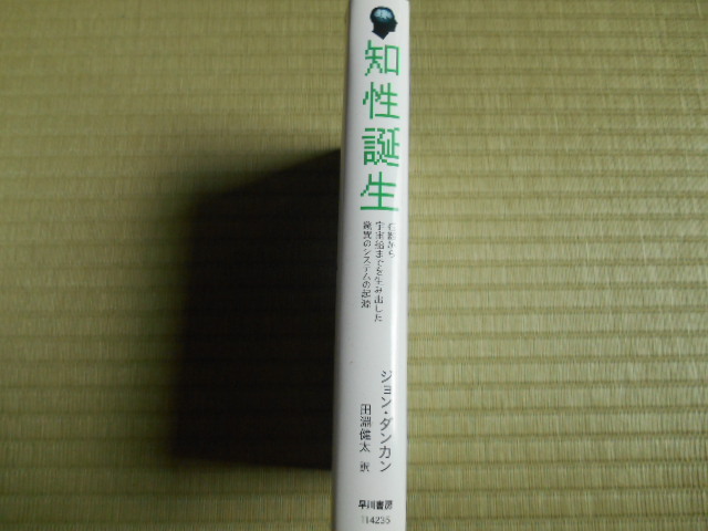 知性誕生　石器から宇宙船までを生み出した驚異のシステムの起源 ジョン・ダンカン／著　田淵健太／訳　早川書房_画像3