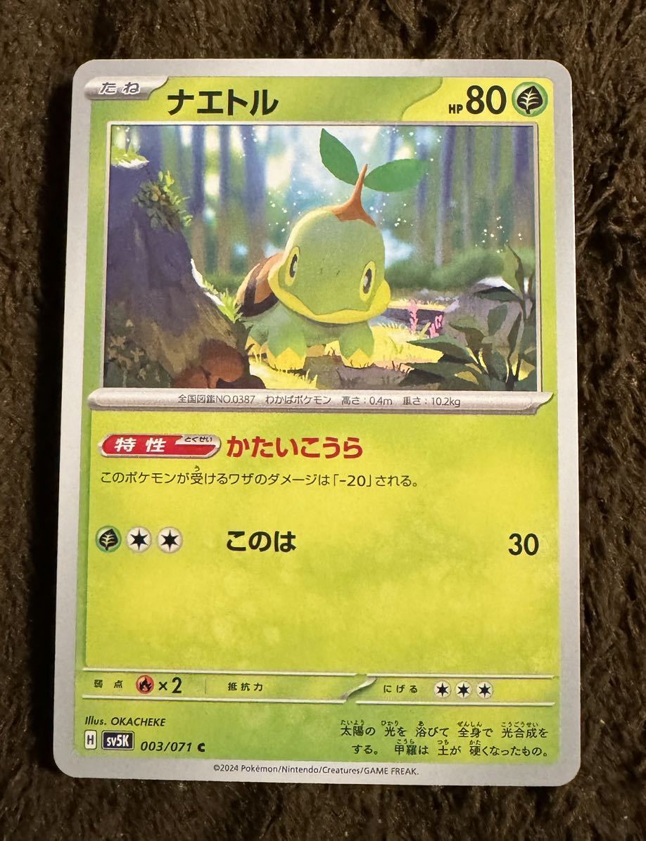 【美品】ポケモンカード ナエトル C（sv5K 003/071）たね かたいこうら このは ワイルドフォース 1枚（在庫５枚）_画像1