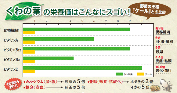 ★御注意★　粉末タイプです。　大阿蘇の森「くわ粉茶」９０ｇ入り　お水や牛乳などで溶いて飲むタイプです