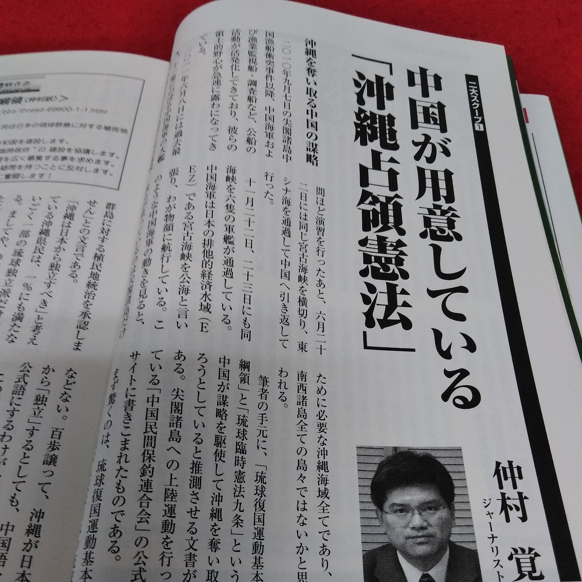 g-255 月刊WiLL 2012年5月号　南京大虐殺は捏造だ　ワック出版※1_画像4