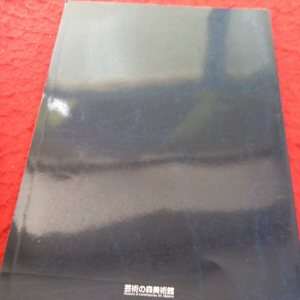 h-304 国松登展 群青の時 書き残された心象 1995年発行 札幌芸術の森 初期から〈眼のない魚〉まで 作品リスト など※1_傷あり