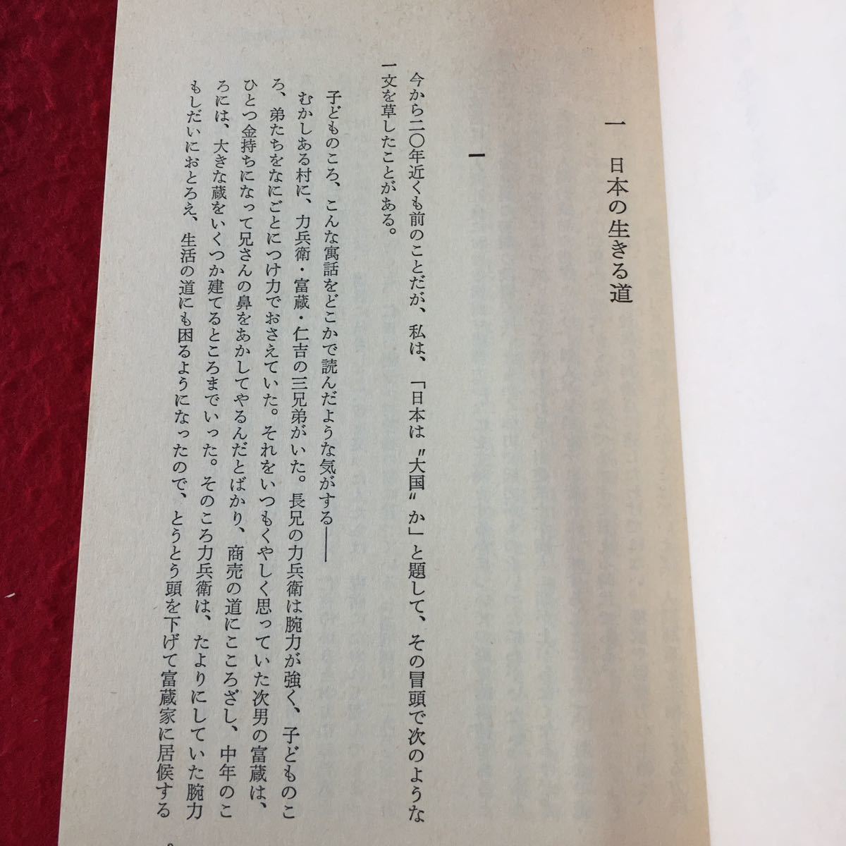 h-457 ※1 さあ、人間の出番だ 日本の活路を考える 著者 都留重人 1982年5月31日 第1刷発行 勁草書房 社会 政治 経済 日本 社会問題_画像6