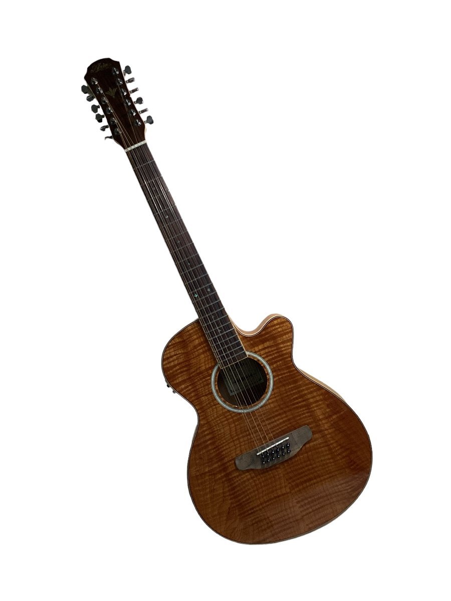 アリア　エレアコギター Amazon | 【ケース付】ARIA アリア FET-DLX/12 LVS Light