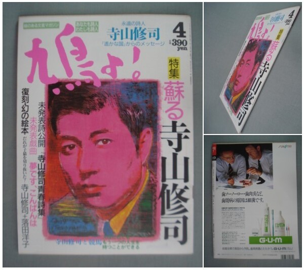  dove .![ special collection ].. Terayama Shuuji . our country male / Nakai Hideo / Hagi .. beautiful /J*A*si- The -/ 9 article now day ./ Sato Akira /.../ forest mountain large road / ceiling ..[ postage 185 jpy ]