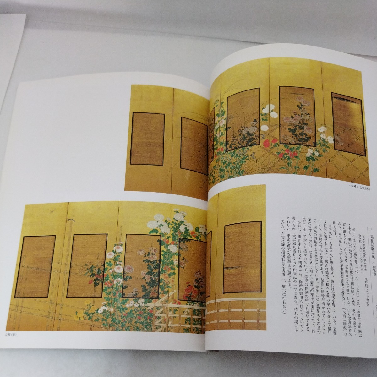 図録 江戸の美意識 絵画意匠の伝統と展開 宮内庁三の丸尚蔵館 2002の画像8