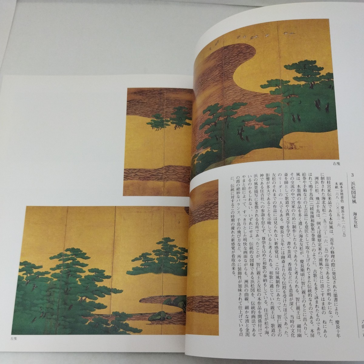 図録 江戸の美意識 絵画意匠の伝統と展開 宮内庁三の丸尚蔵館 2002の画像6